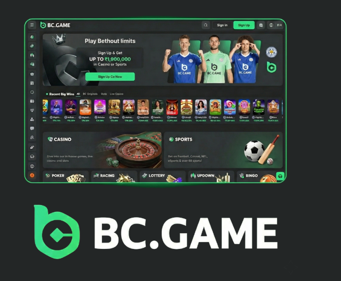 Discover BC.Game Casino The Ultimate Online Gaming Experience in Poland Discover BC.Game Casino The Ultimate Online Gaming Experience in Poland